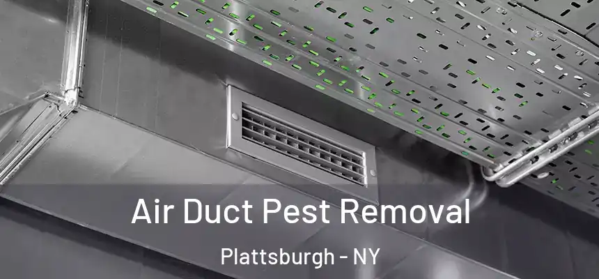  Air Duct Pest Removal Plattsburgh - NY