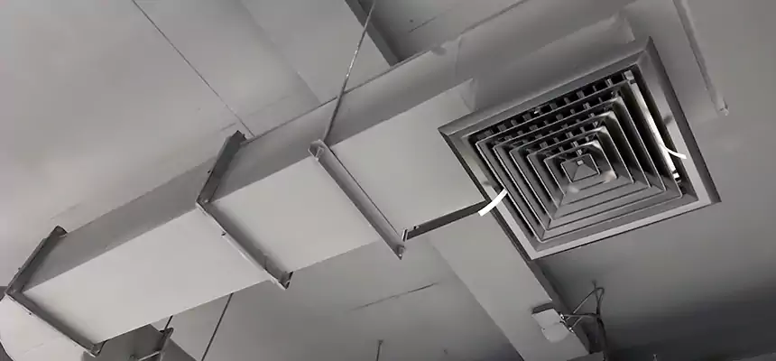 Our Pest Removal From Ducts Services in Plattsburgh, NY