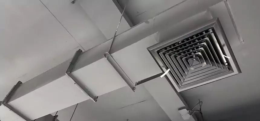 Our Rodent Droppings In Vents Services in Plattsburgh, NY