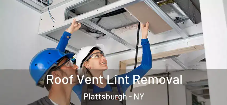  Roof Vent Lint Removal Plattsburgh - NY