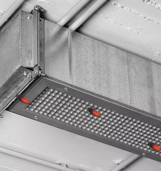 Affordable Insect Removal from Air Ducts in Plattsburgh, NY