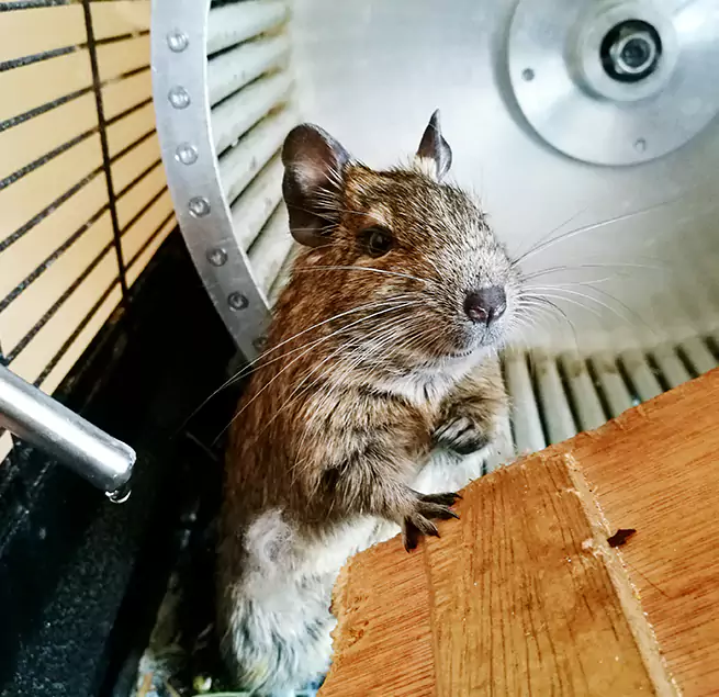 Why Homeowners & Businesses Trust Us Plattsburgh, NY