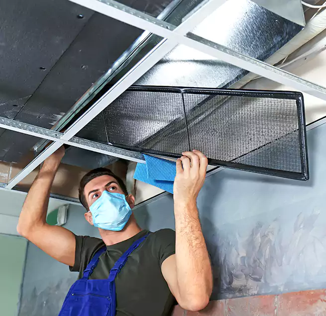 Why Homeowners Businesses Trust Us in Plattsburgh, NY